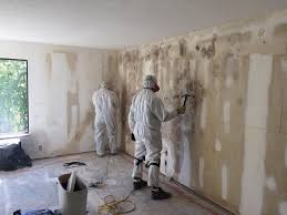 Best Environmental Consulting for Mold Prevention  in Way, NE